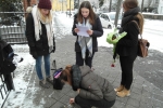 SAM_0237
