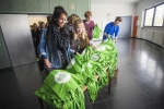 27.09.2016 Tag der Begegnung - Hegelgymnasium - Hochschule Magdeburg-Stendal - Foto: Matthias Piekacz