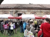 verona-tag-4-16